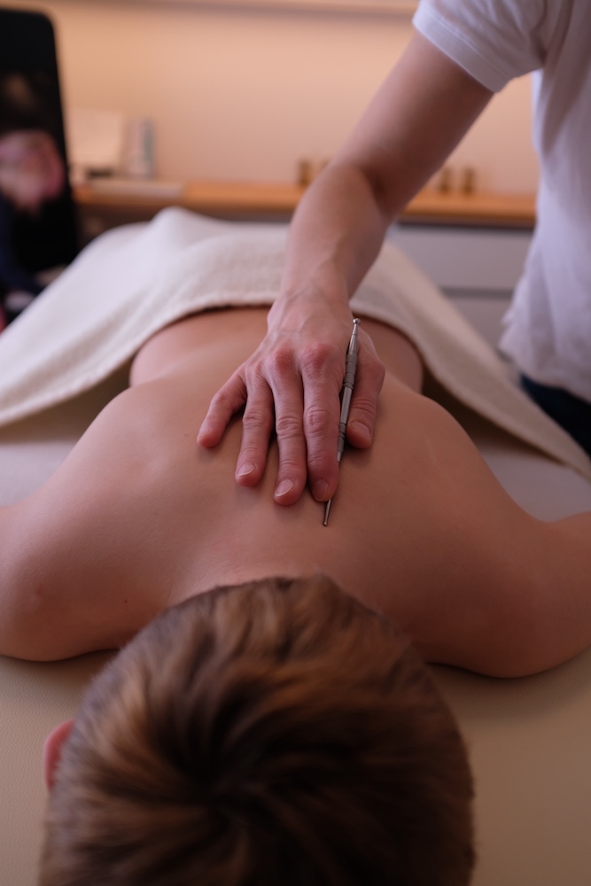 Traditionelle Chinesische Medizin